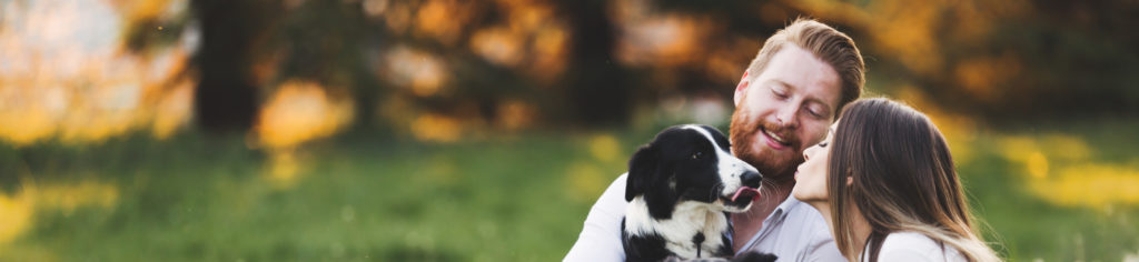smiling couple looking at their black and white dog