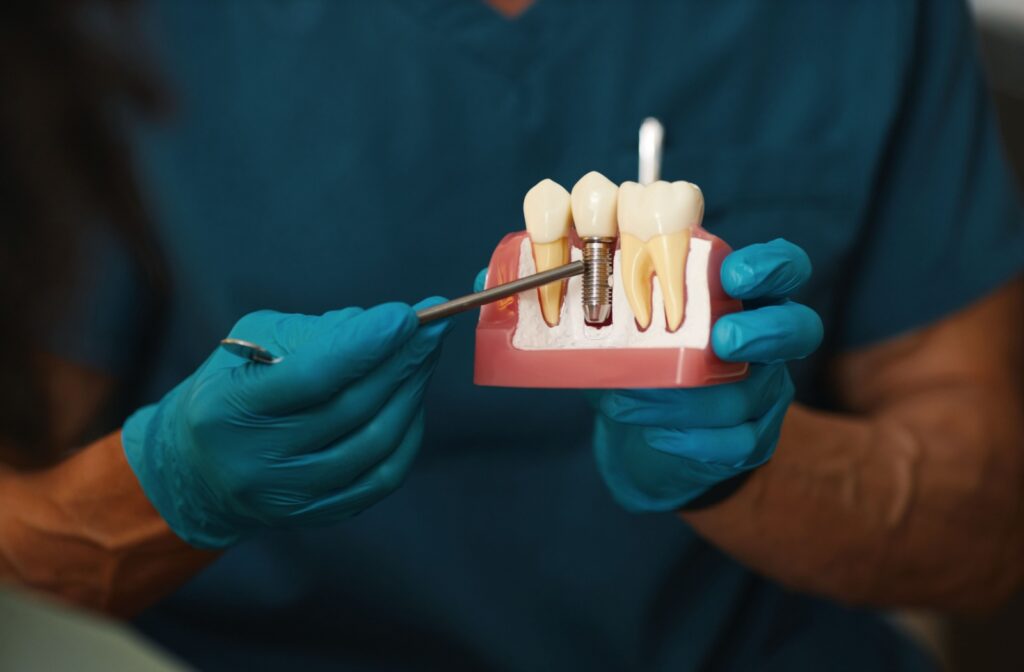 A dentist explains the entire dental implant process using a 3D model to show their patient each step.